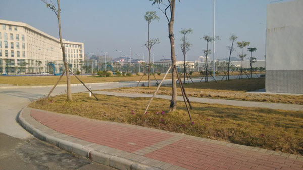 clip_image003.jpg clip_image003.jpg