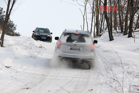 “雪之雄獅”全新斯巴魯森林人冰雪試駕