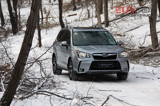 “雪之雄獅”全新斯巴魯森林人冰雪試駕