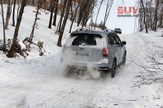“雪之雄獅”全新斯巴魯森林人冰雪試駕