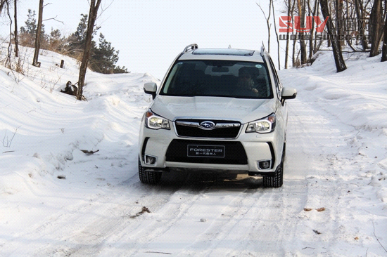 “雪之雄獅”全新斯巴魯森林人冰雪試駕