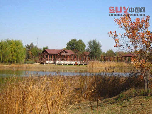 家人一起戶外燒烤 邊吃邊玩邊娛樂