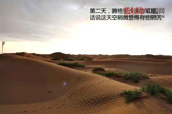 騰格里沙漠體驗牧馬人Rubicon