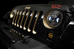 牧馬人Dragon限量版