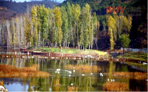 【自駕游】金秋自駕好時節 北京周邊自駕游線路精選 【自駕游】金秋自駕好時節 北京周邊自駕游線路精選