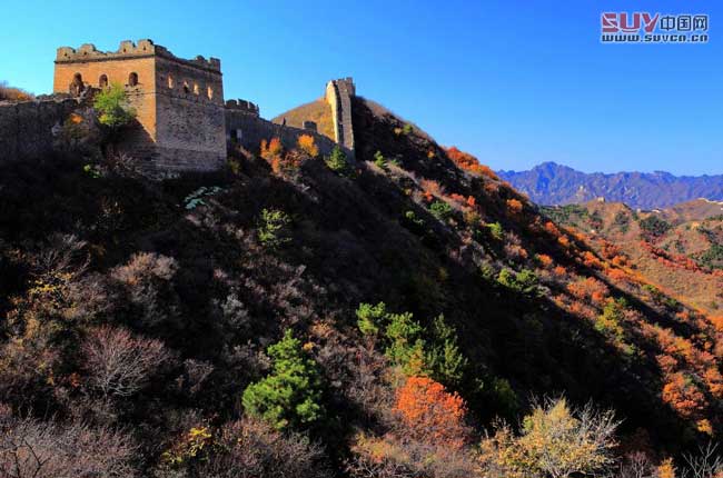 走進金山嶺 感受長城最美秋色