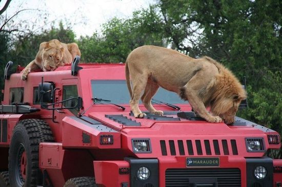 上千萬的超級防彈車