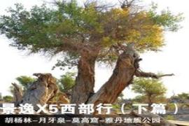 測試文章相關鏈接圖