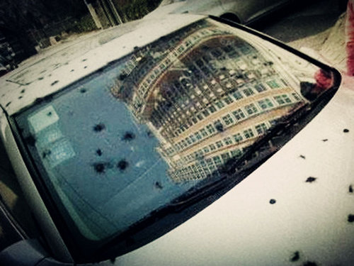 春節將至 建議您購買玻璃險防鞭炮炸車