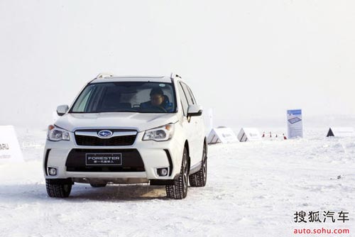 斯巴魯 森林人 實拍 圖解 圖片