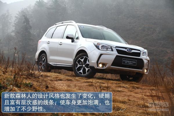 斯巴魯 森林人 實拍 圖解 圖片