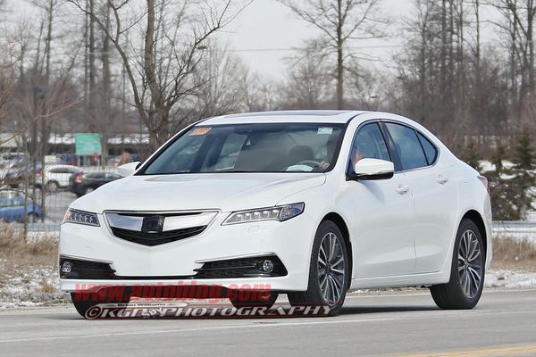 量產版謳歌TLX低偽照 年內上市/將取代TL 量產版謳歌TLX低偽照 年內上市/將取代TL