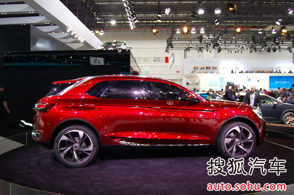 DS Wild Rubis 實拍 其它 圖片