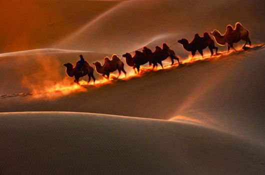 行者無憂自駕游網